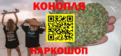 стаф Лесосибирск