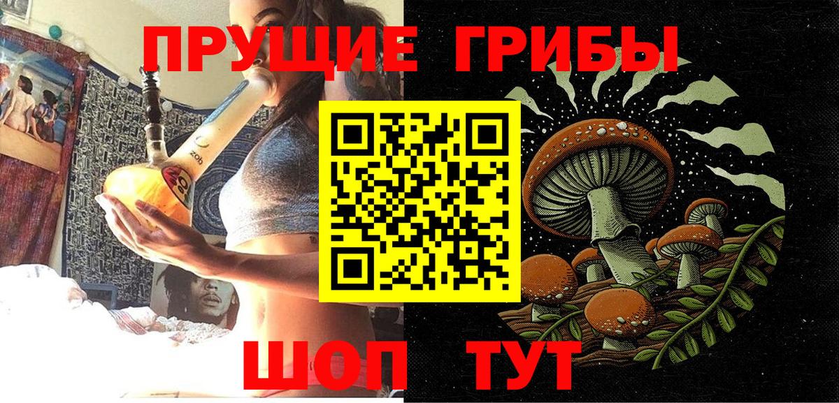 Псилоцибиновые грибы мицелий  Вход с VPN  даркнет сайт  Владивосток 